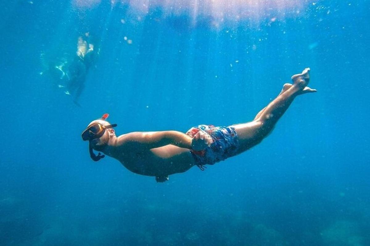a woman is swimming in the water with a fish