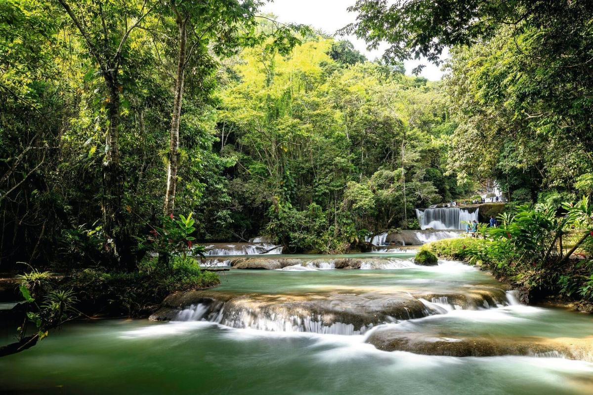 a river in the jungle with a waterfall