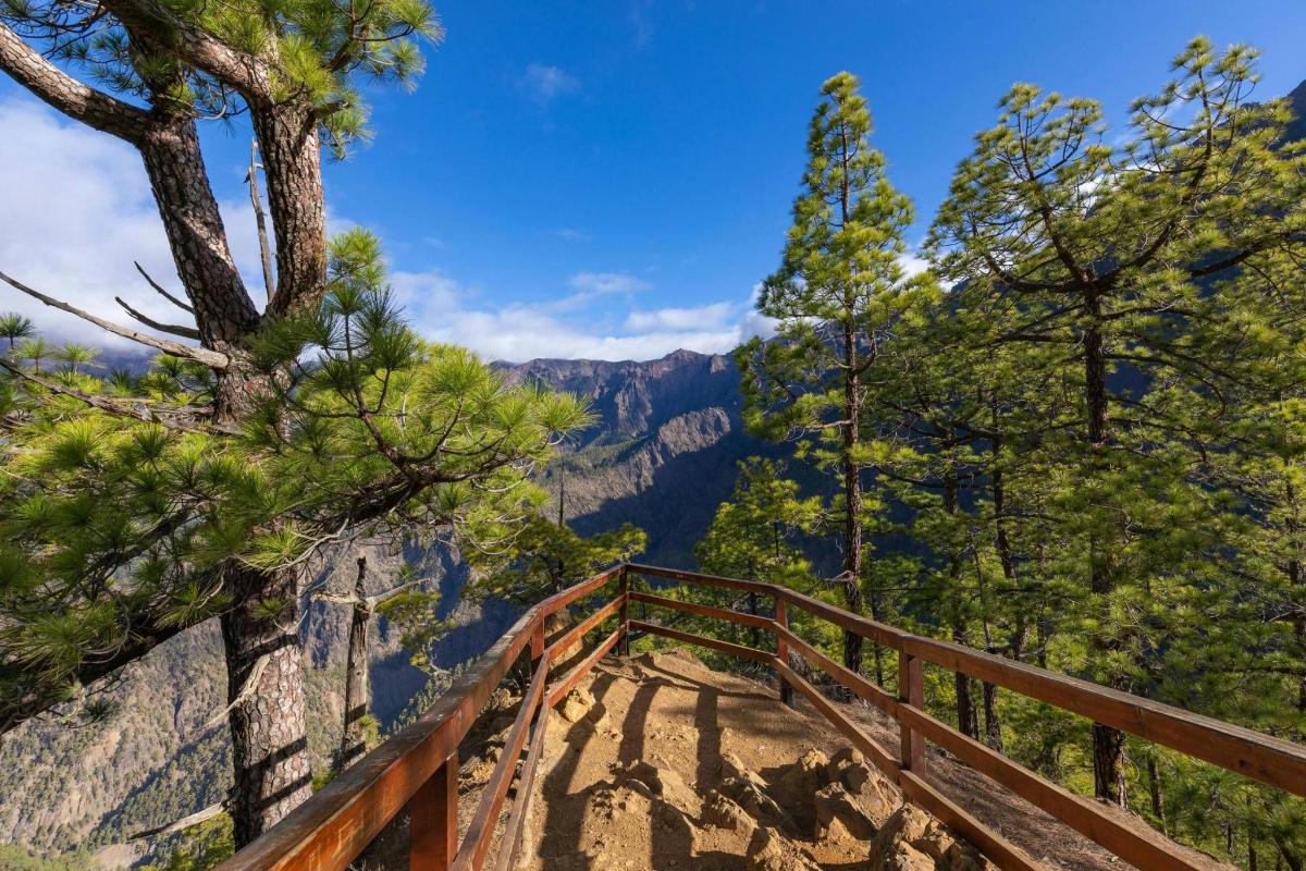 a wooden boardwalk with a view of the grand canyon