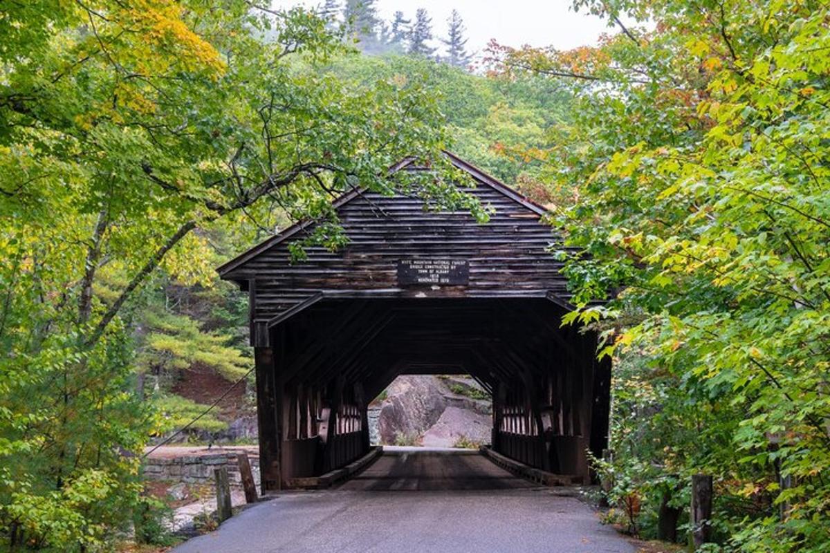 un pont negre sobre una carretera en un bosc