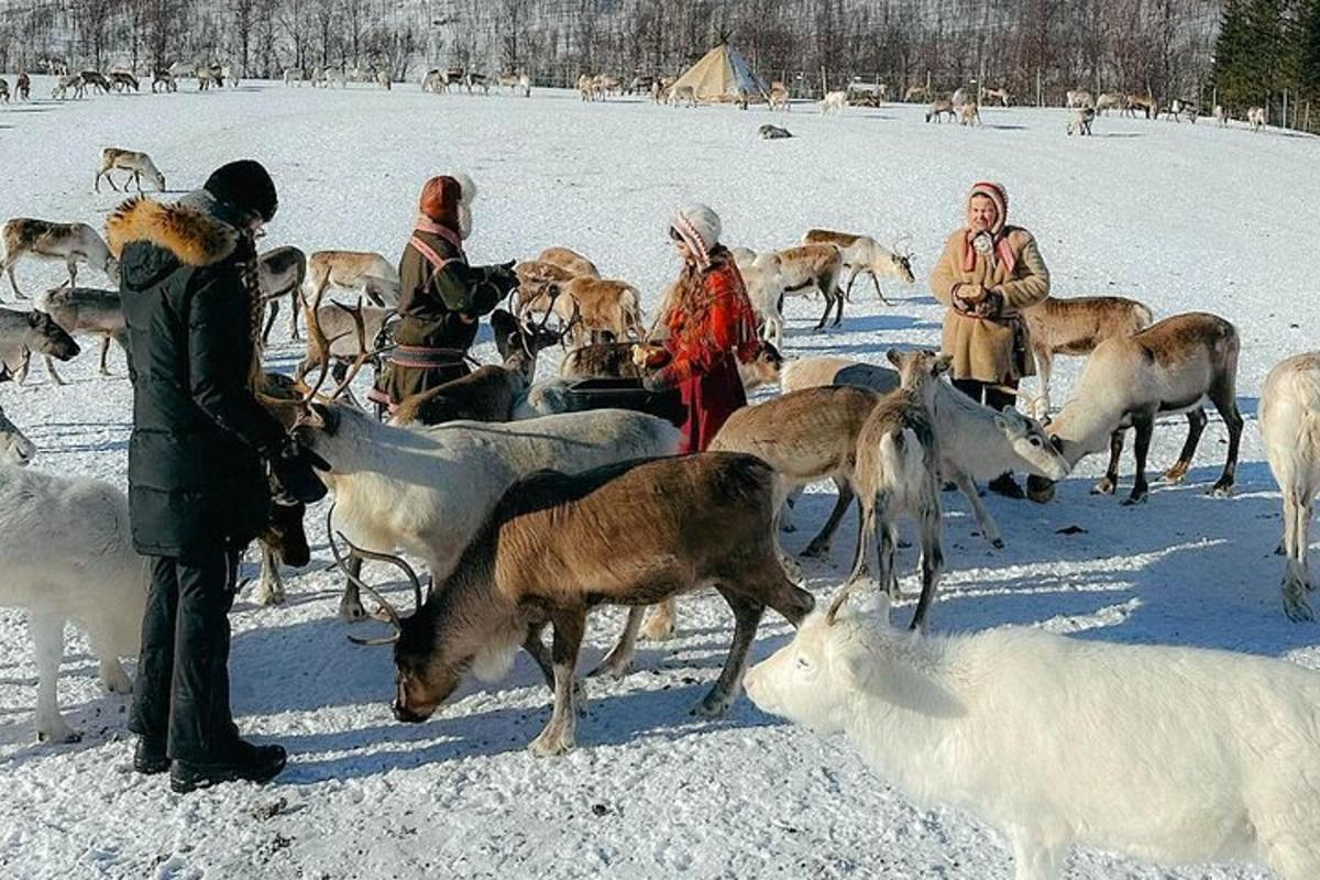 hópur fólks stendur í snjónum með dýrahjörð