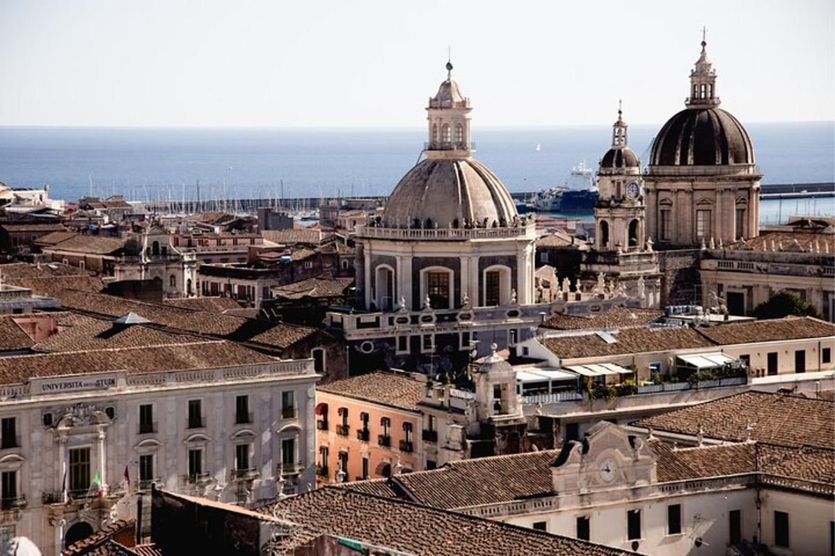 vista aèria d'una ciutat amb edificis