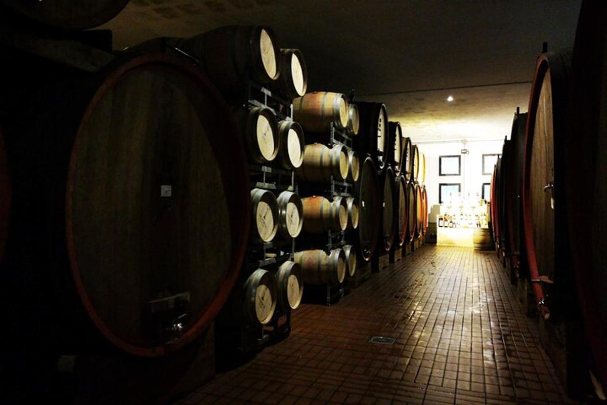 a row of wine barrels in a cellar