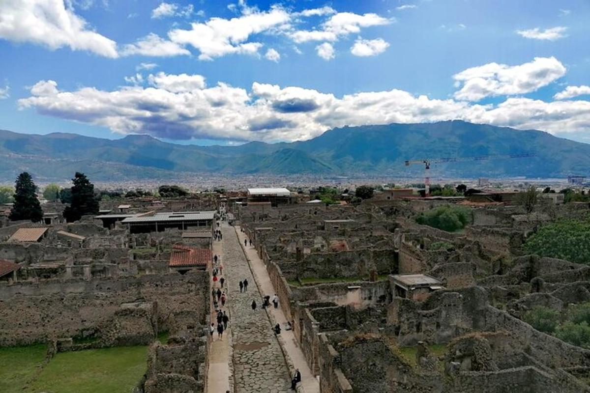 Una vista aérea de un pueblo con montañas al fondo.