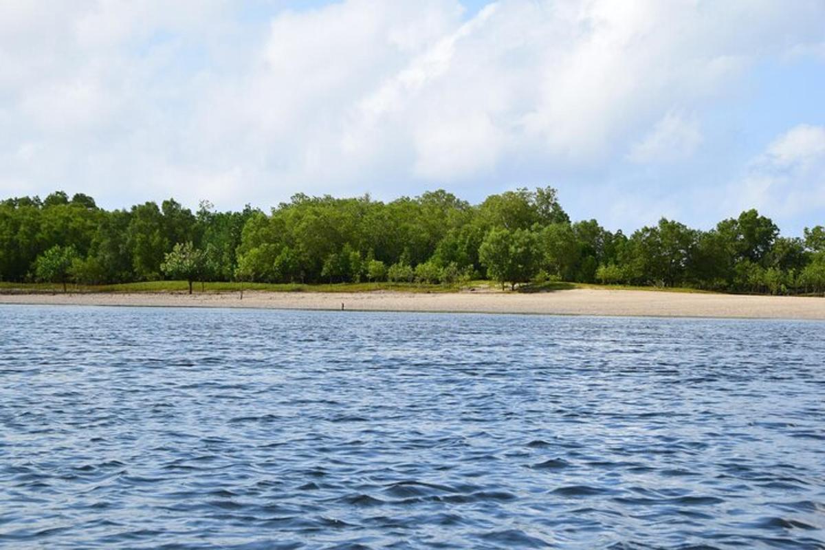 sebuah pulau di tengah-tengah badan air