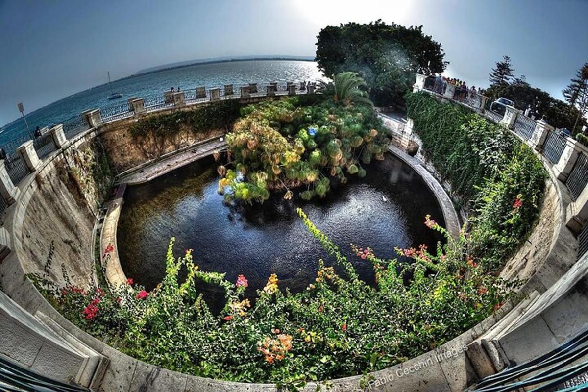una fioriera in cemento con piante e fiori di fronte all'oceano