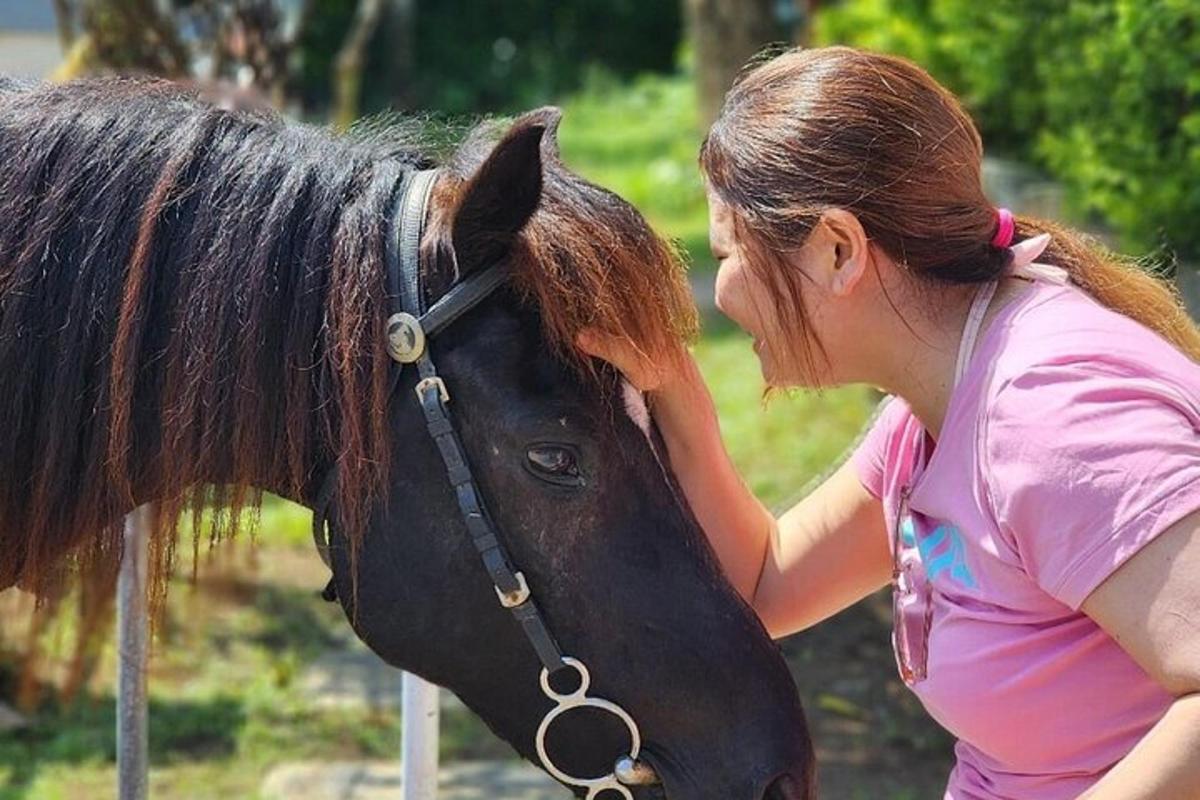 una donna in piedi accanto a un cavallo marrone