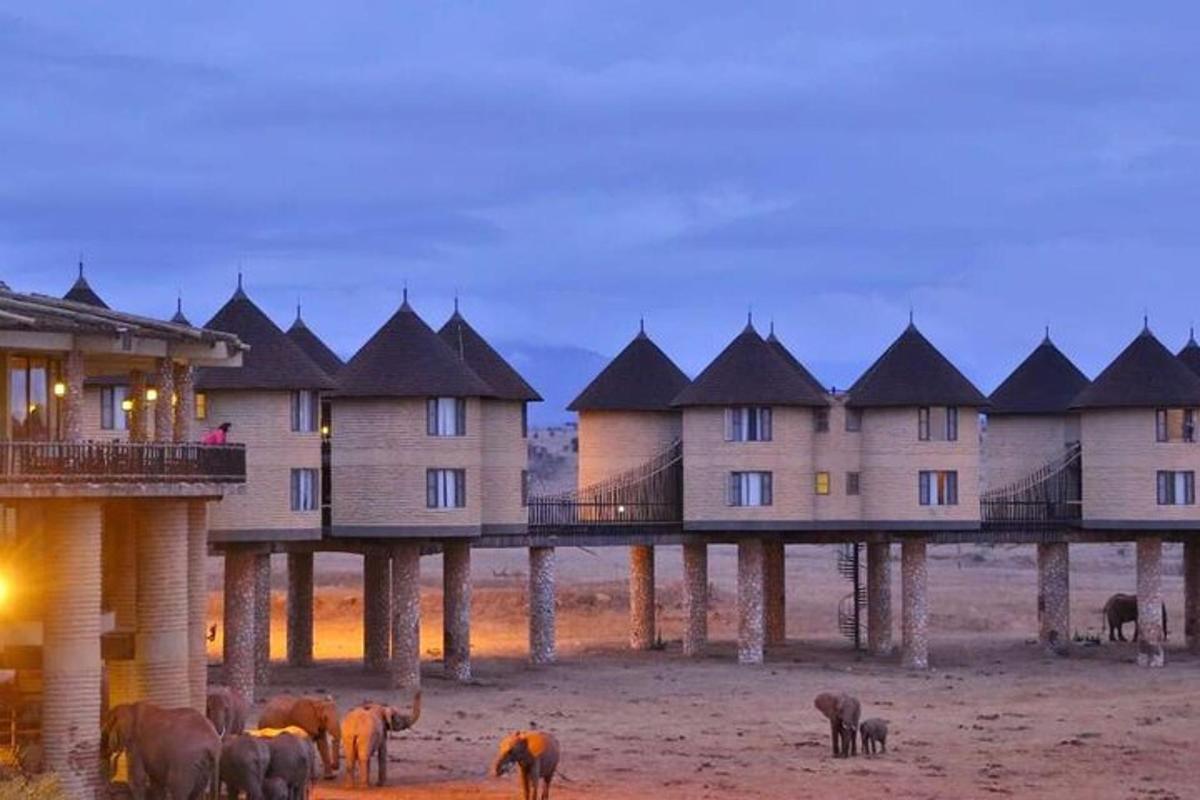 un grup d'elefants drets davant d'un edifici