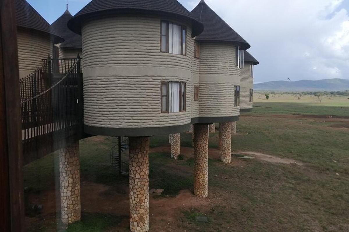 una casa sobre soques d'arbres al mig d'un camp