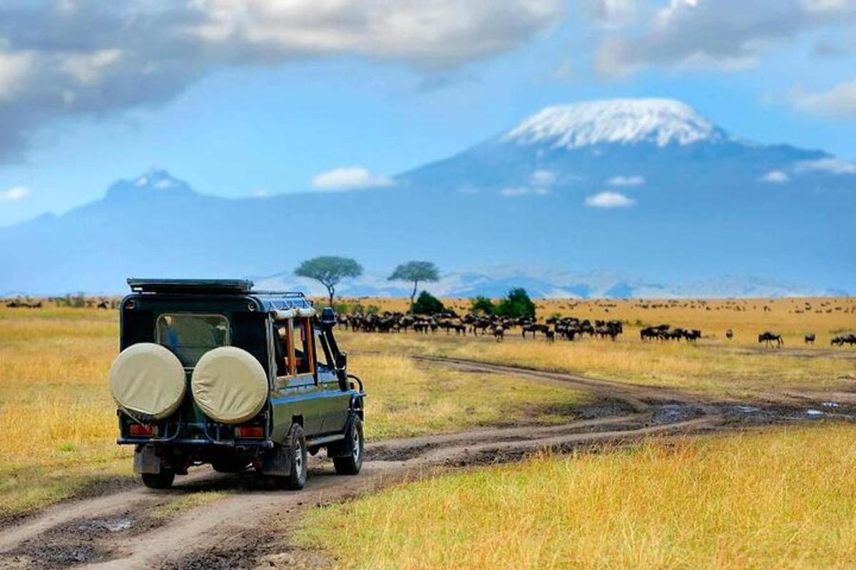 un jeep verde conducând pe un drum de pământ cu o turmă de animale