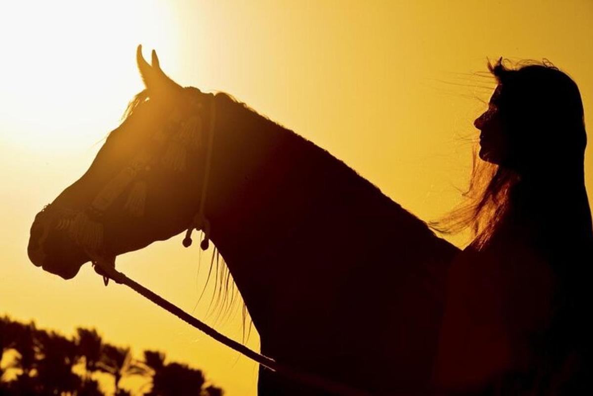 una donna che tiene un cavallo di fronte al tramonto