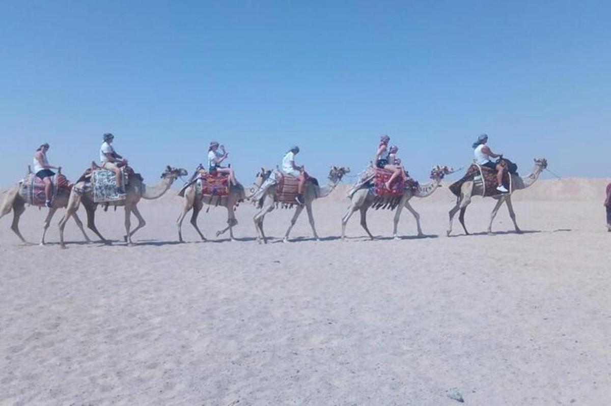a group of people riding on camels in the desert