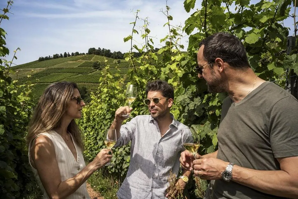 Visite privée des vins d'Alsace au départ de Colmar, Bâle ou Mulhouse – photo 1