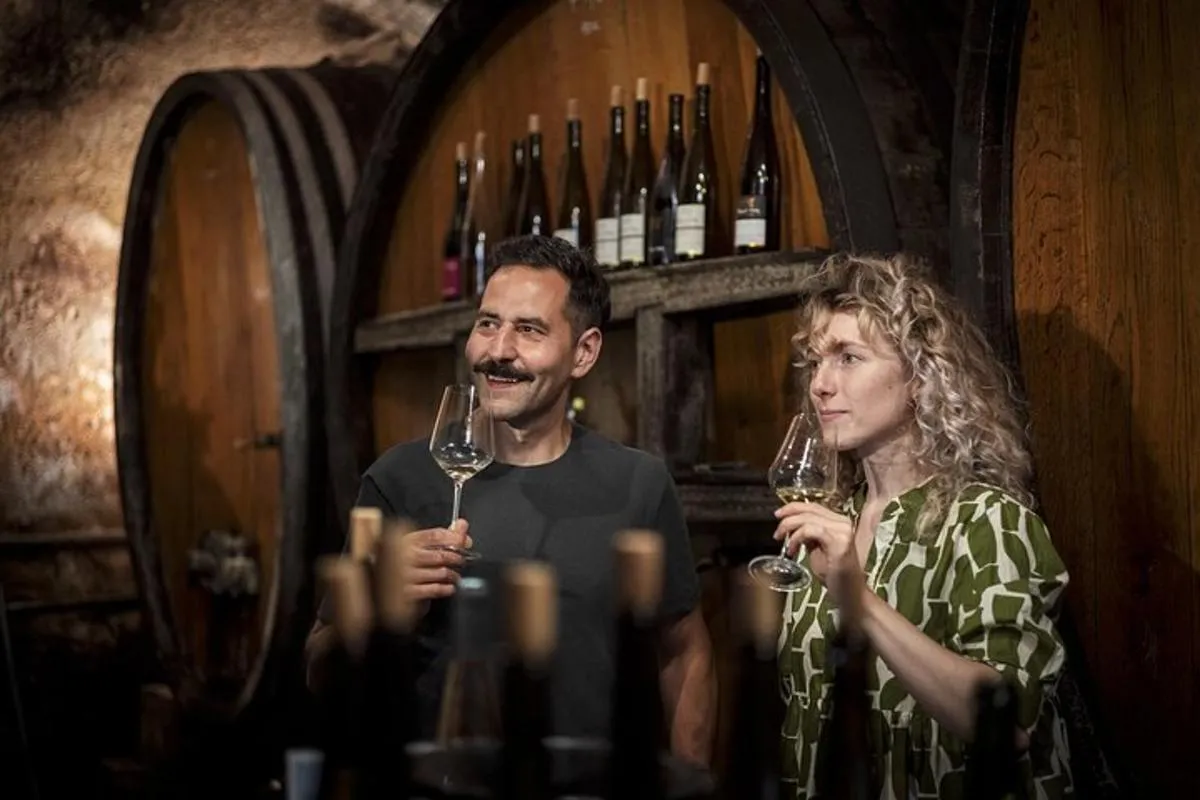 Colmar : visite privée des vins d'Alsace avec guide, 8 h 30 – photo 2