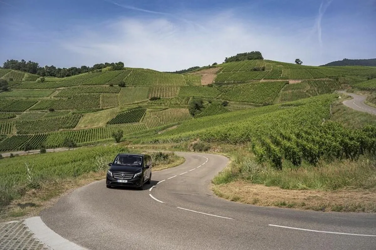 Visite privée des vins d'Alsace au départ de Colmar, Bâle ou Mulhouse – photo 3