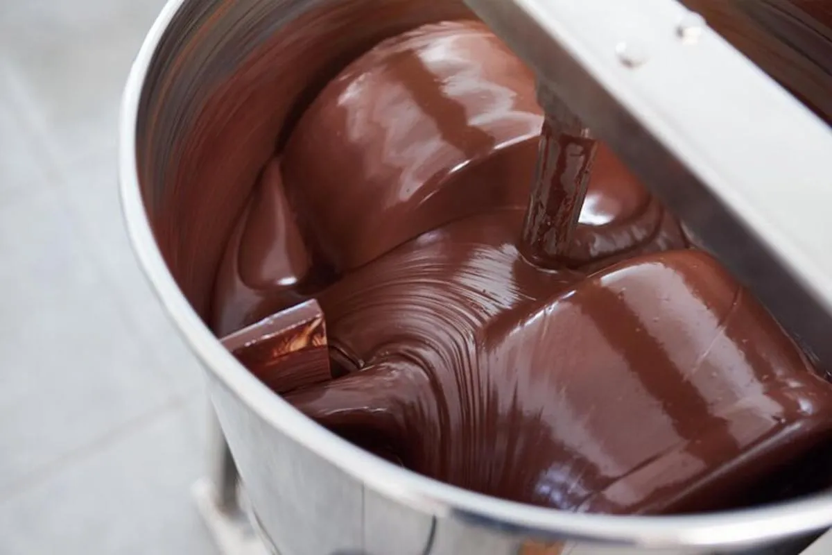 Atelier de fabrication de chocolat, expérience de la fève à la tablette | From Basel – photo 1