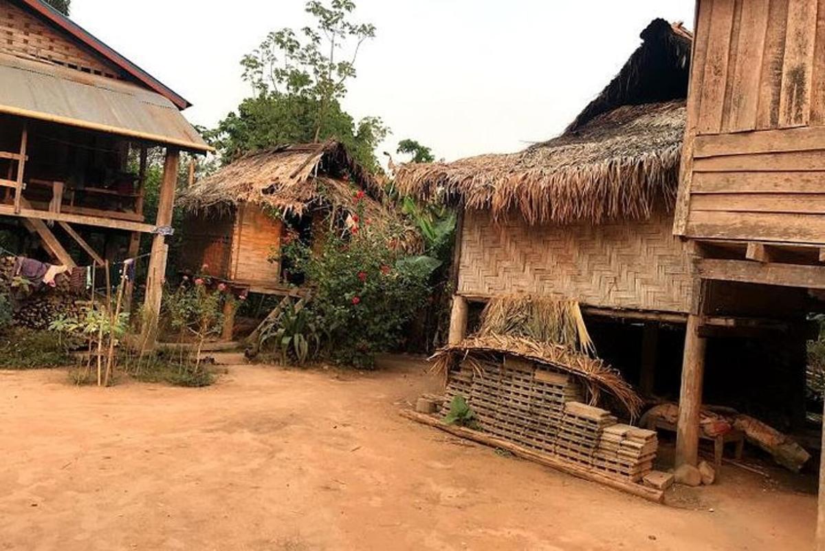 a group of houses with thatched roofs in a village