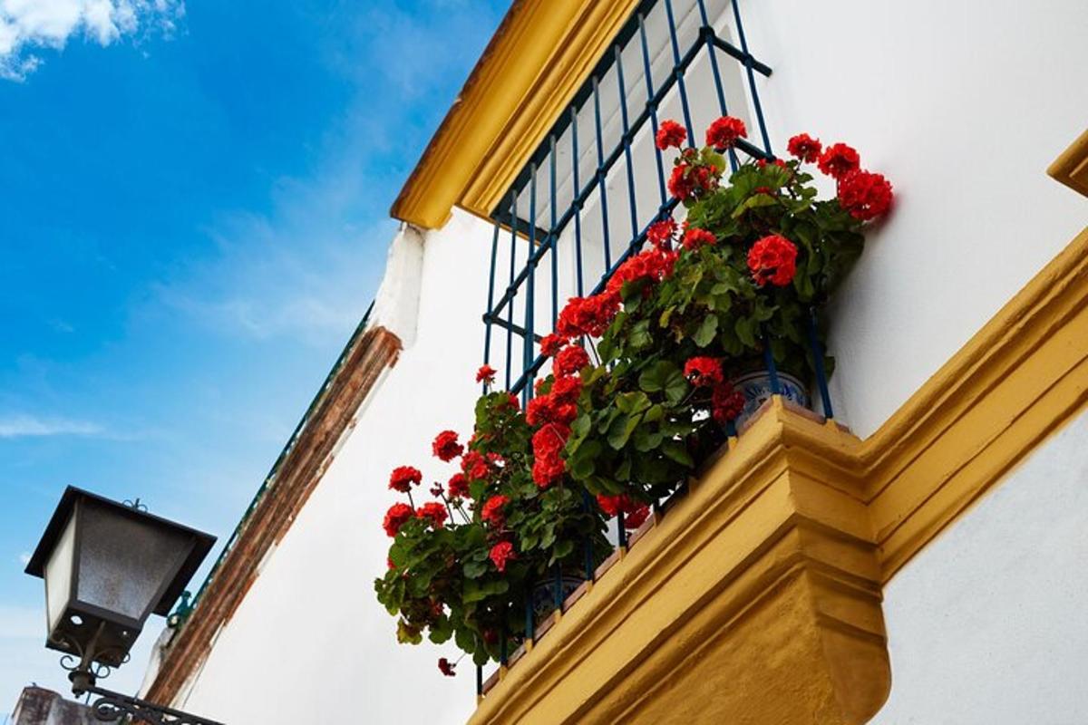 una finestra amb flors vermelles al costat d'un edifici