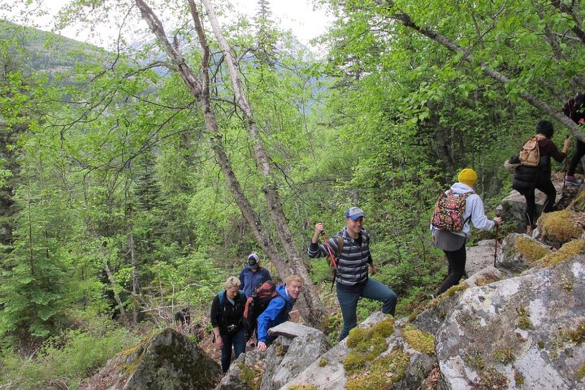 a group of people walking on rocks in a forest