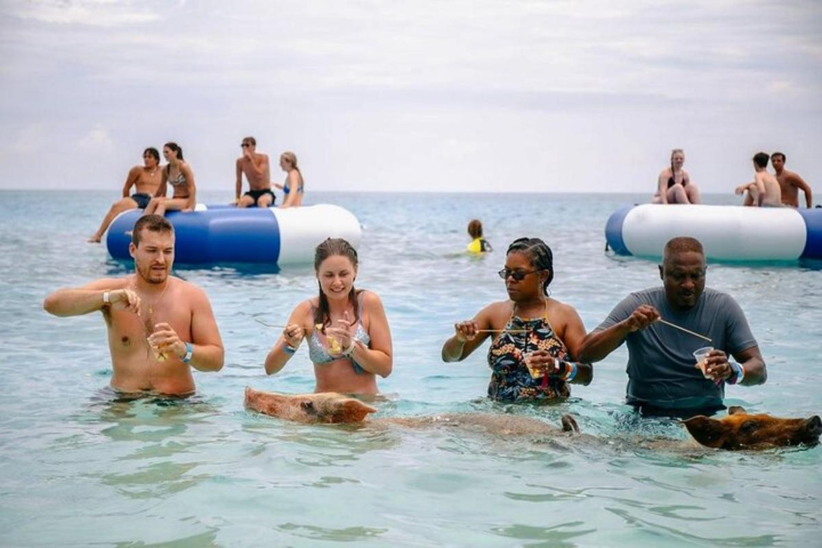 a group of people in the water on the beach