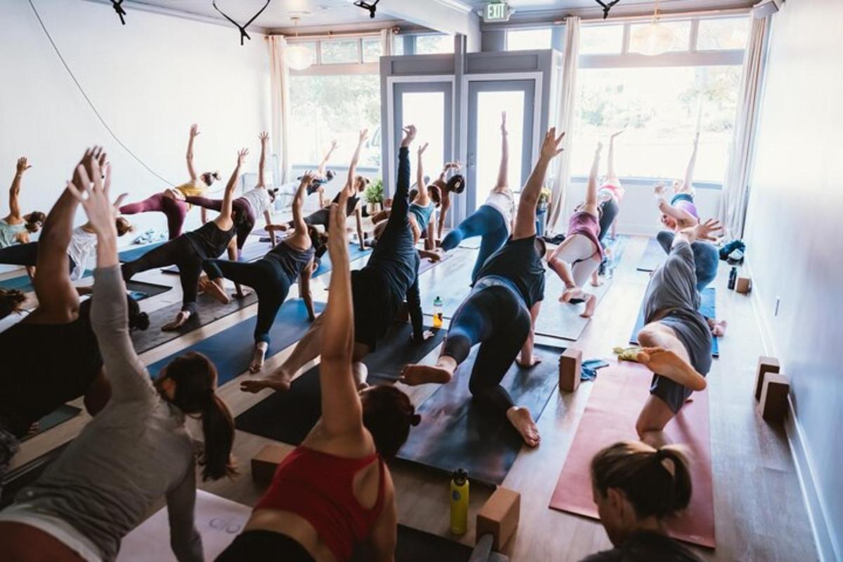 Un grupo de personas haciendo yoga en una habitación.