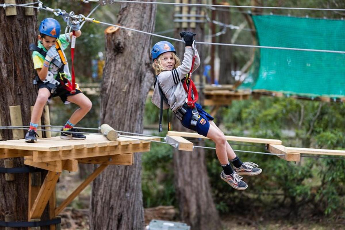 two children on a zip line in the trees