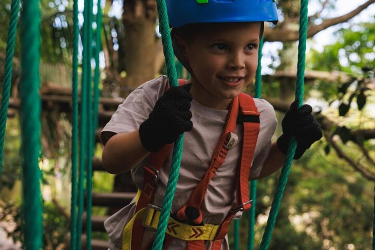 a young boy is climbing on a rope swing