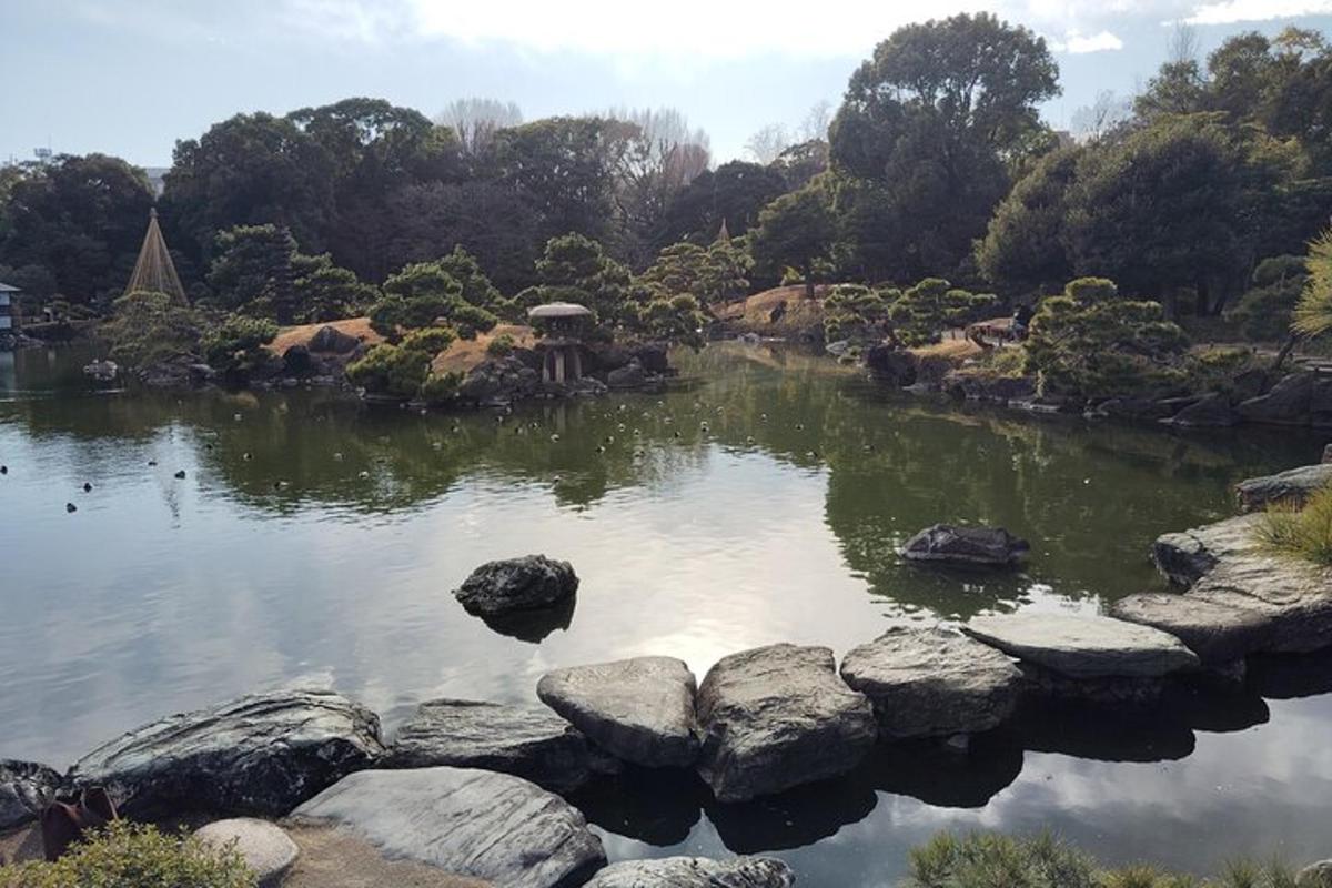 kolam di taman dengan batu di airnya
