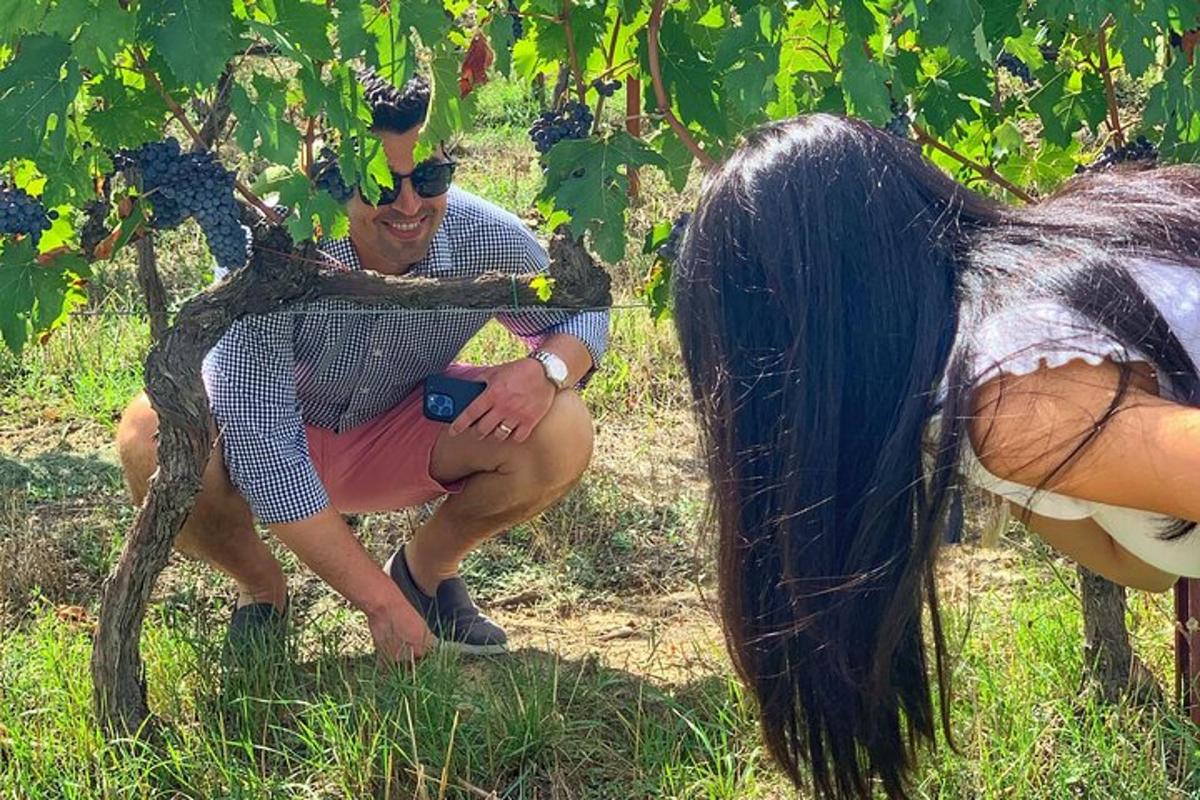 un uomo che indossa una corona seduto su un albero accanto a un cavallo