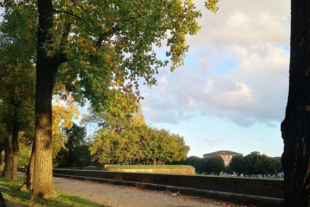 Un camino en un parque con árboles y un cementerio.
