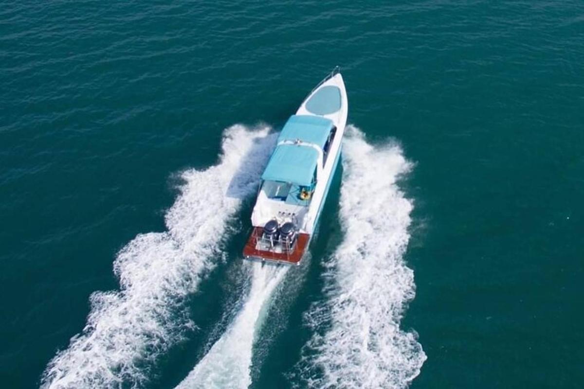 a blue and white boat in the water