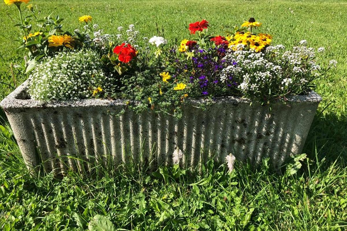 un vaso di fiori pieno di fiori nell'erba