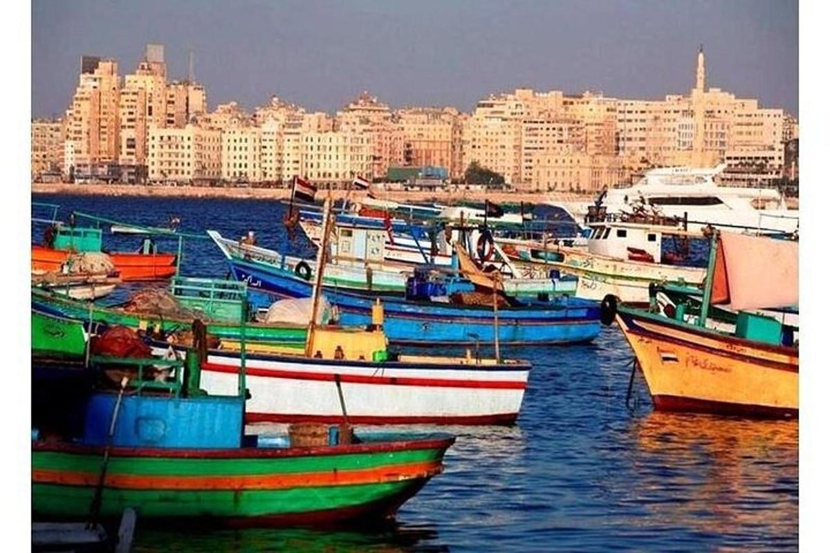 um grupo de barcos na água com uma cidade ao fundo