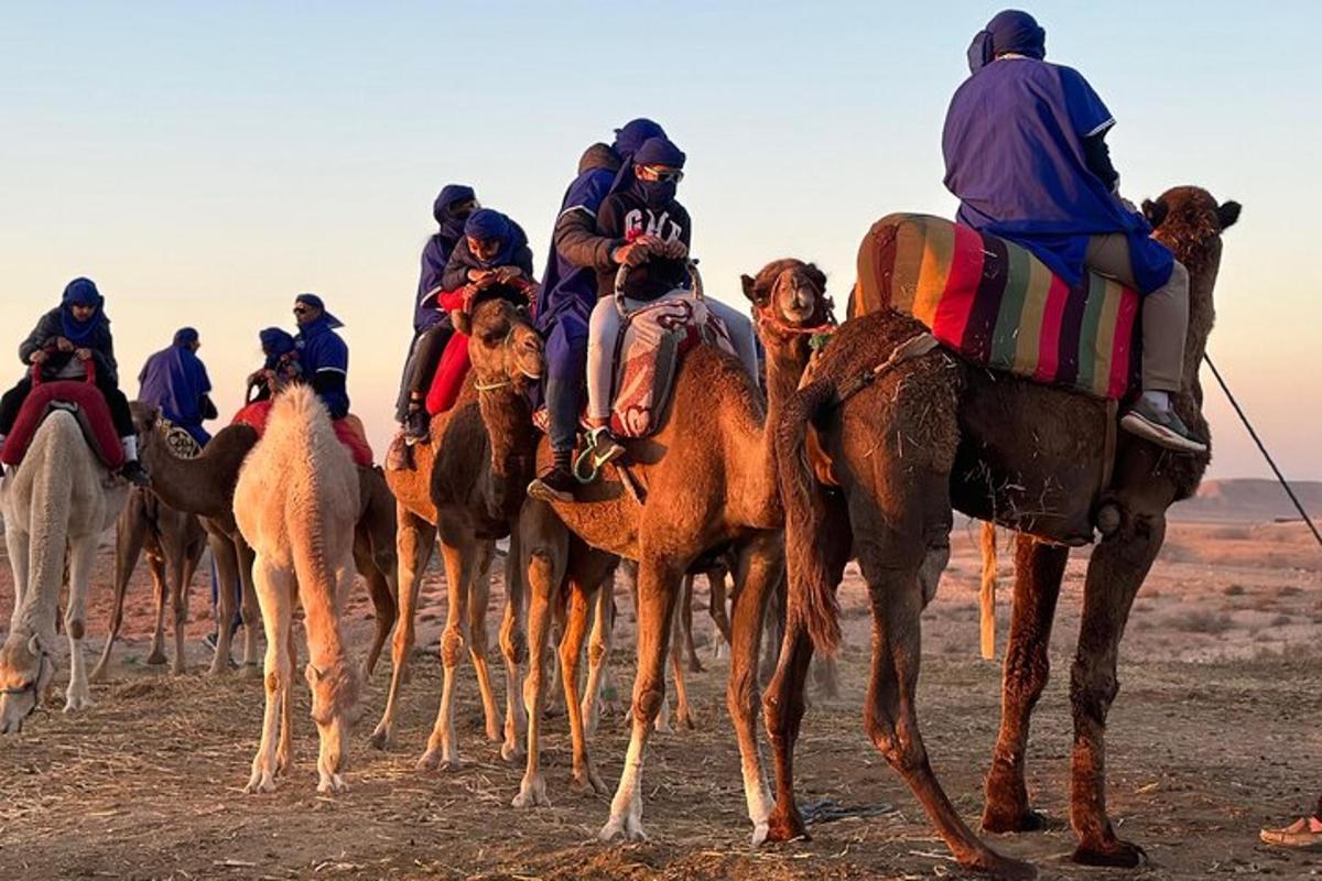 a group of people riding on camels in the desert