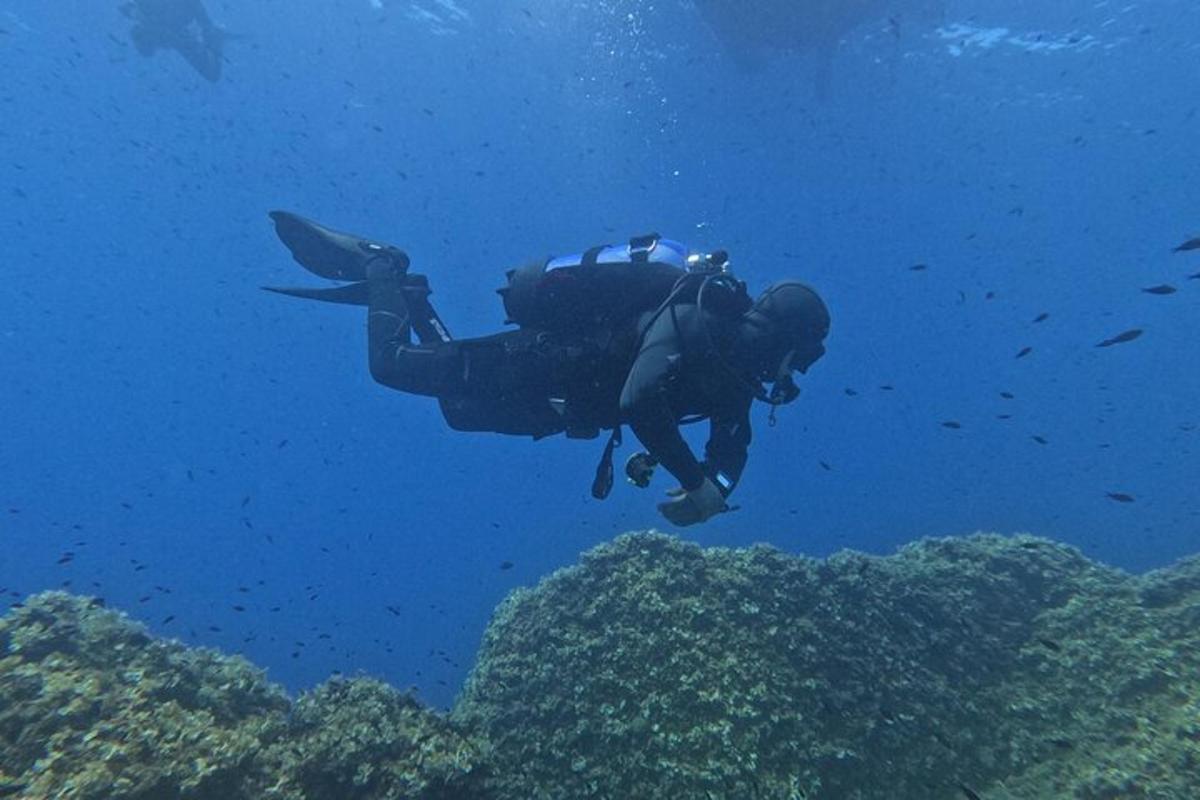 um homem está nadando sobre um recife de coral