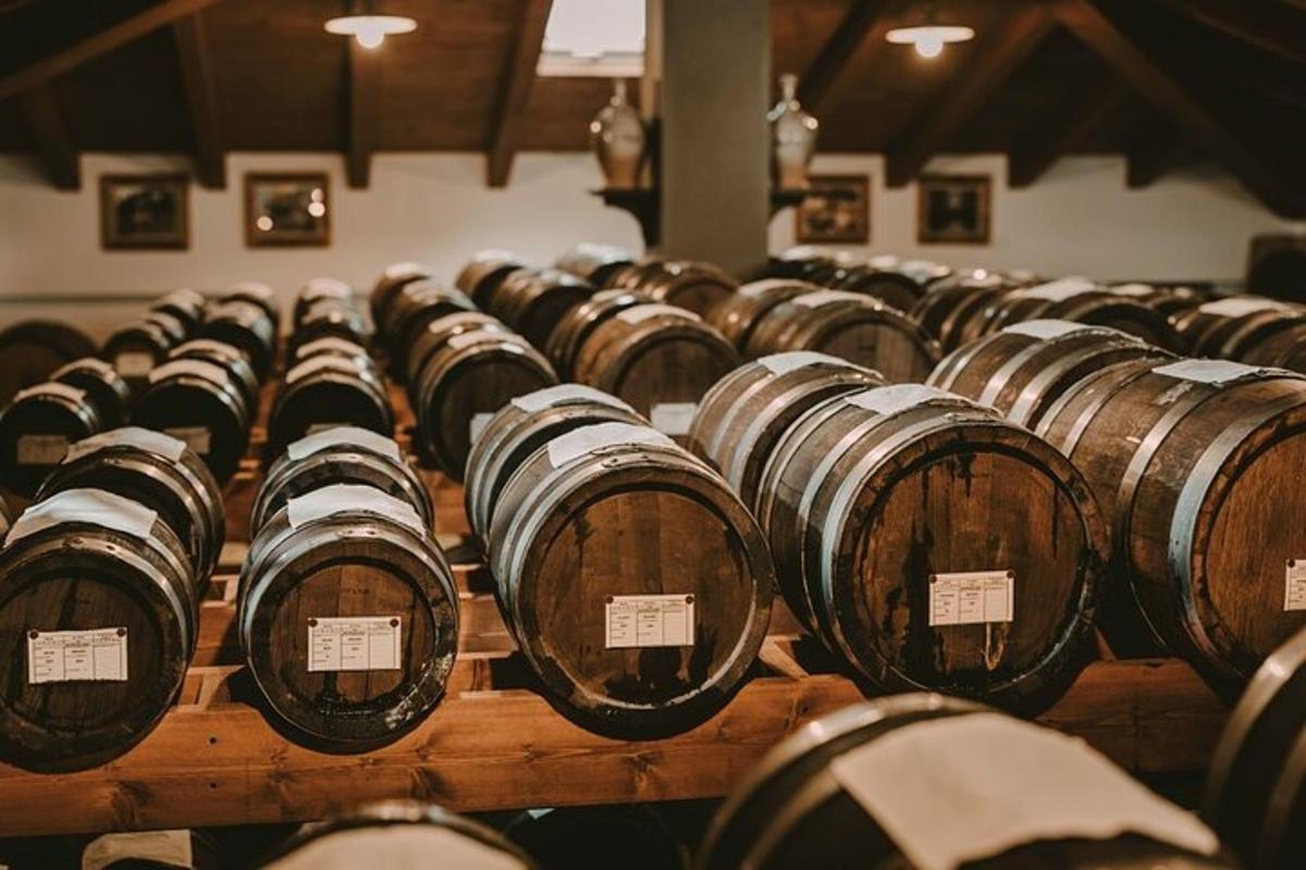 una filera de bótes de vi en un celler