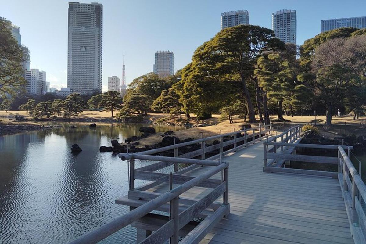 公園の湖にかかる木製の橋
