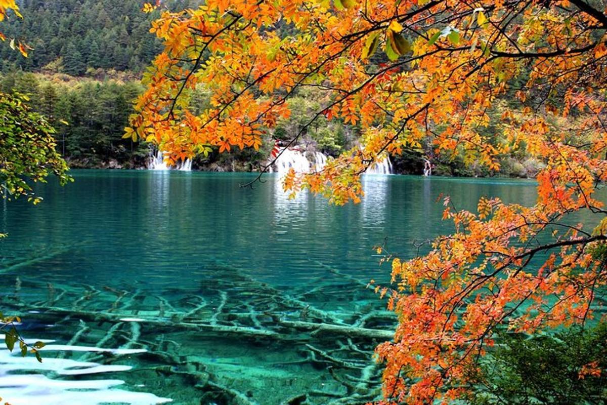 a view of a lake with a waterfall in the background
