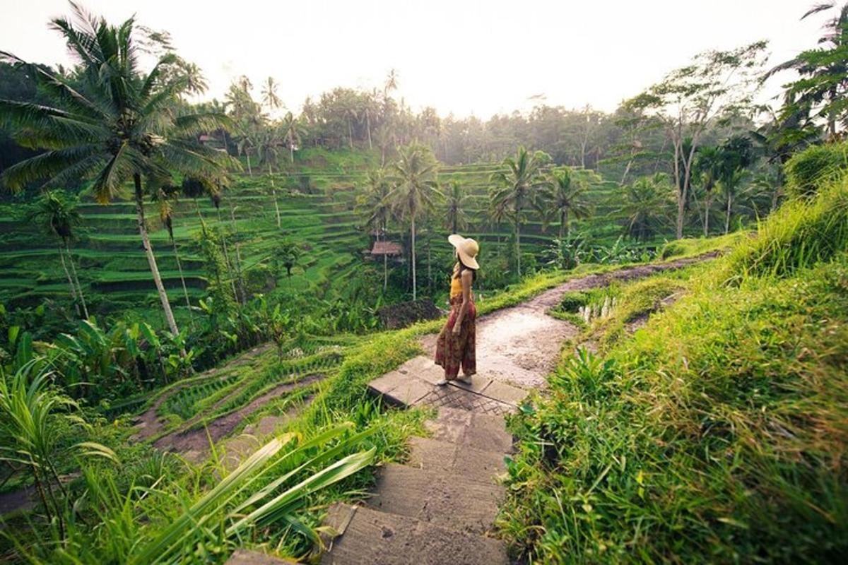 a person standing on a path in a field