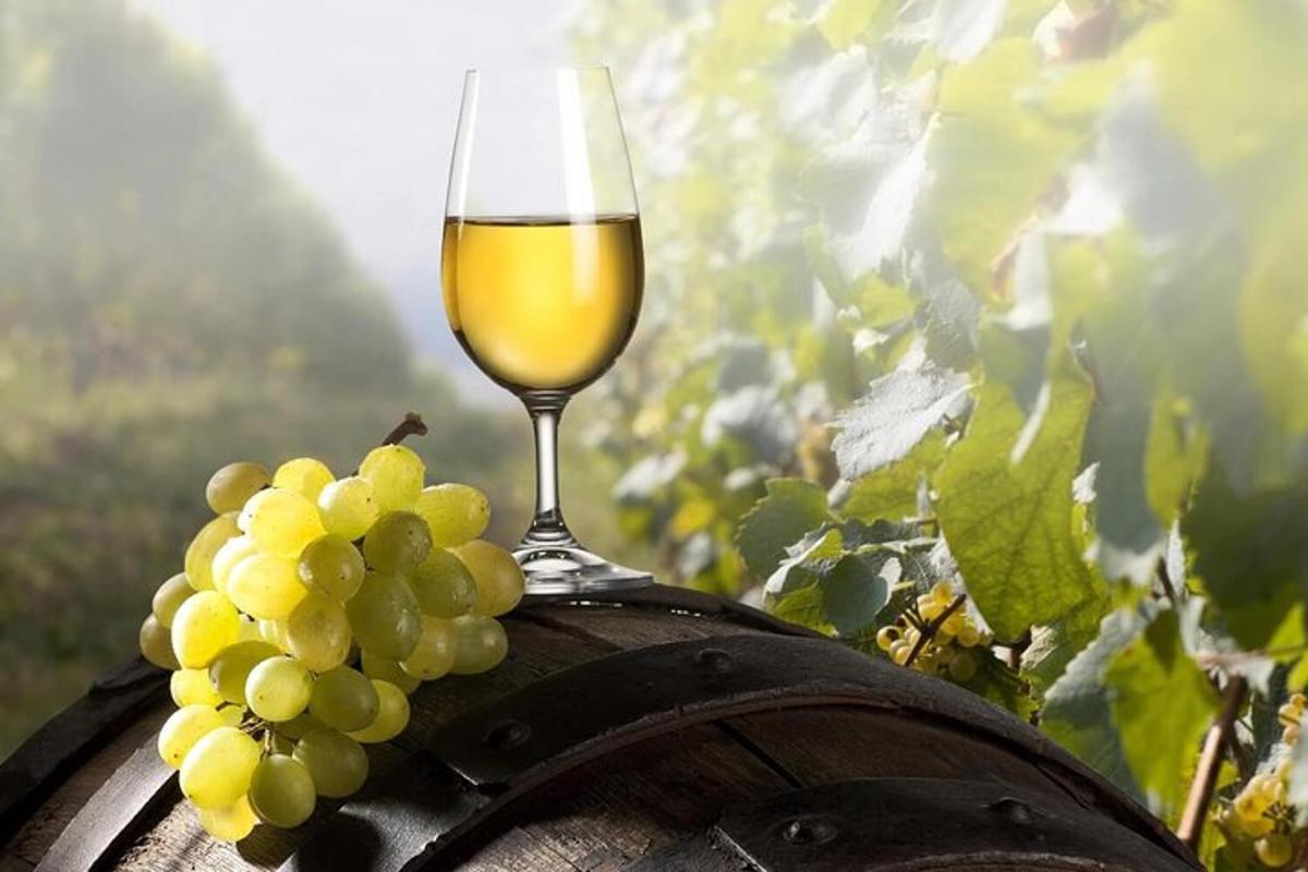 uma taça de vinho e um cacho de uvas