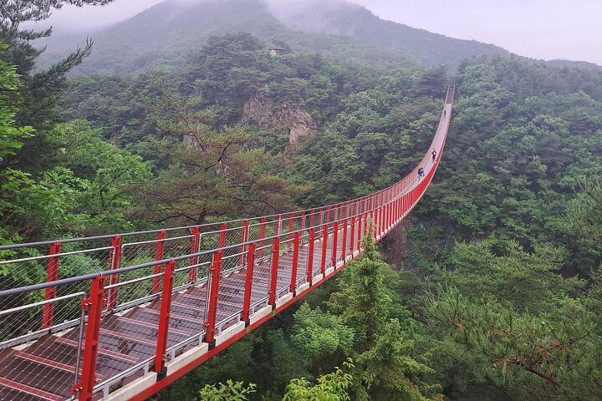 un puente rojo en medio de un bosque