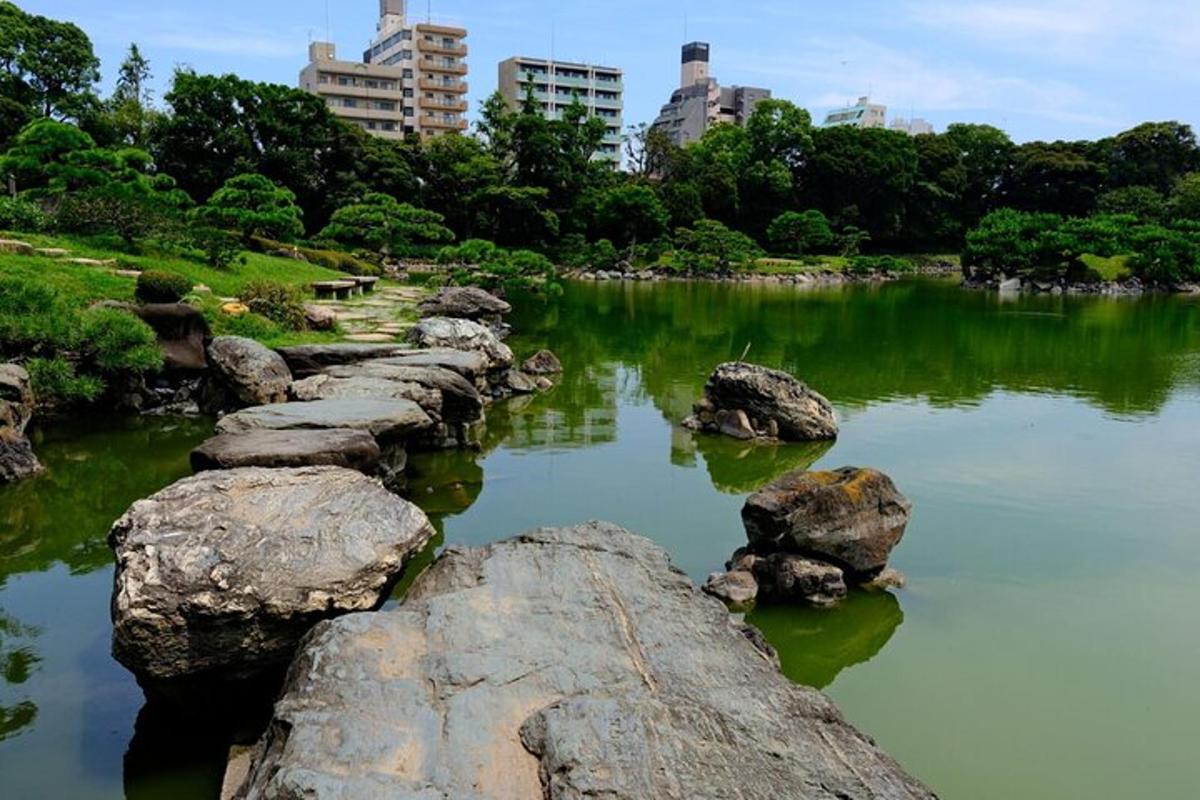 un fiume con rocce in un parco con edifici