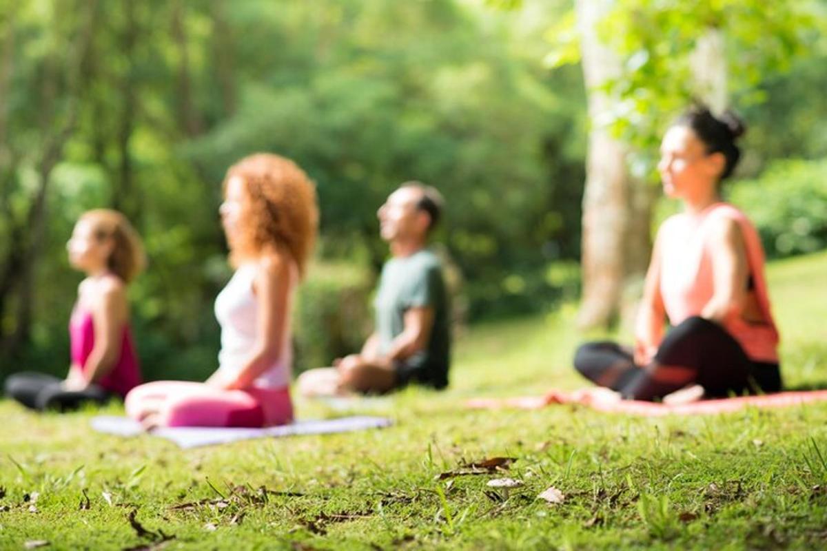 a group of people sitting in the grass practicing yoga
