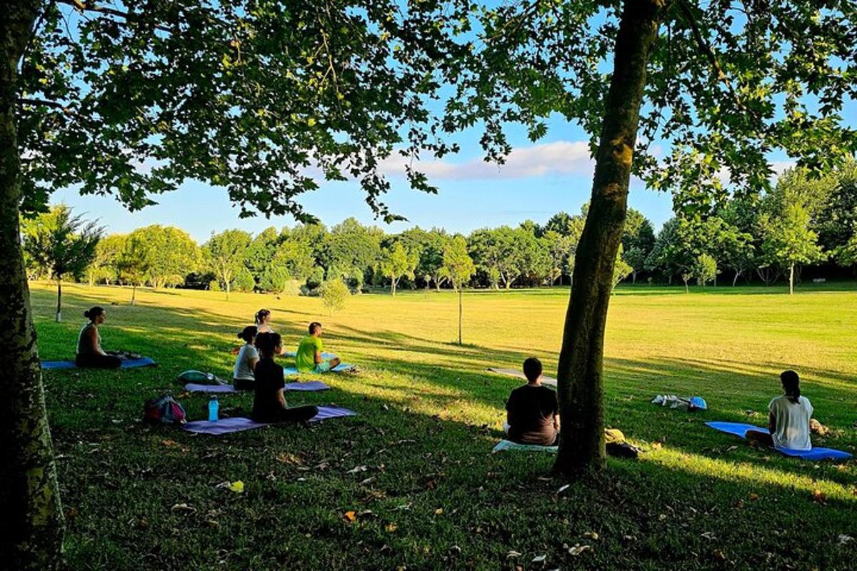a group of people sitting in the grass in a park