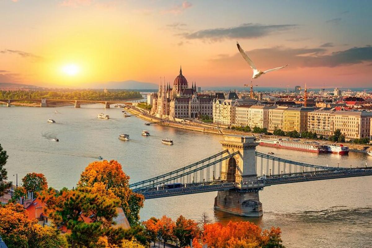 a view of a bridge over a river with a city