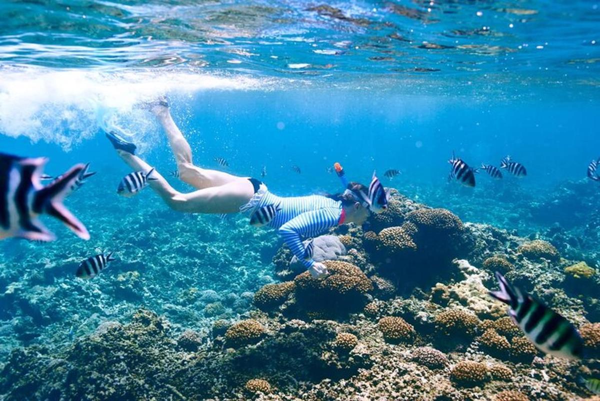 una persona sta nuotando nell'oceano con i pesci