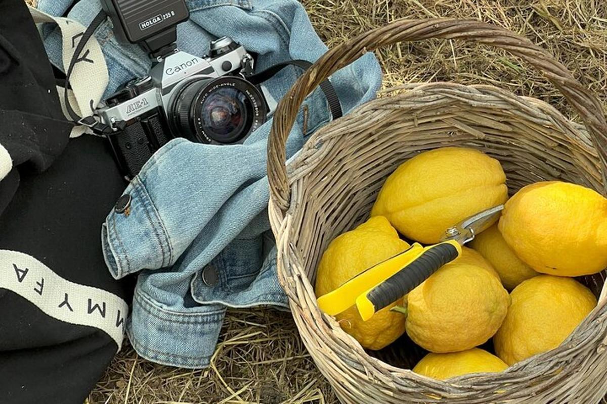 sekeranjang lemon dengan kamera di dalamnya