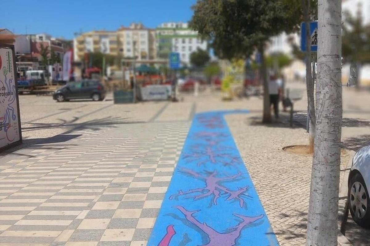 una vorera amb una vorada pintada de blau amb estrelles de mar