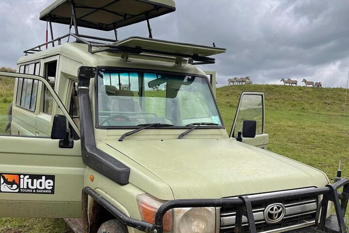 a truck with a roofrack on top of a field with horses