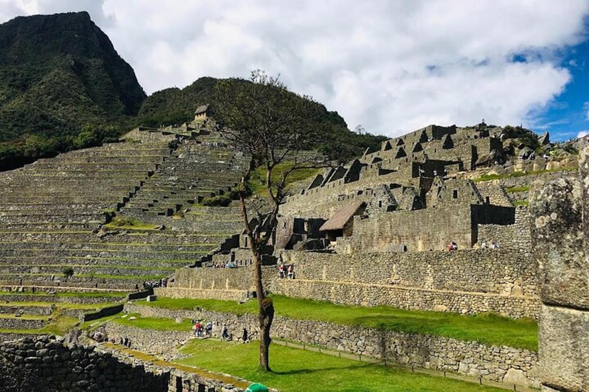 Un antiguo anfiteatro con un árbol delante.